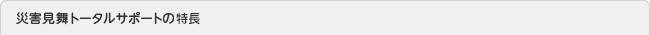 災害見舞トータルサポートの特徴