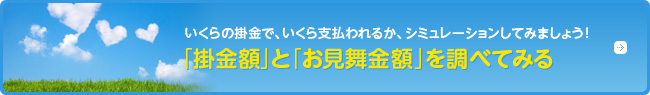 「掛金額」と「お見舞金額」を調べてみる