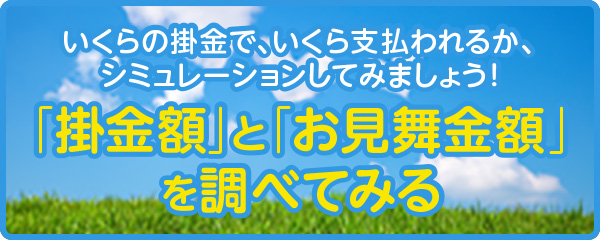 「掛金額」と「お見舞金額」を調べてみる